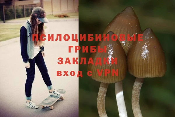 ешки Баксан