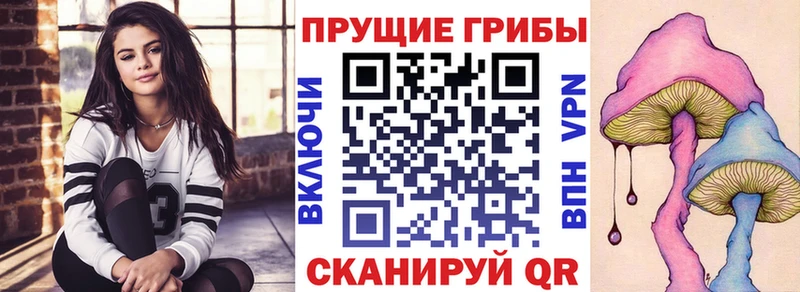 Псилоцибиновые грибы GOLDEN TEACHER  наркота  MEGA ТОР  дарк нет формула  Красный Сулин 